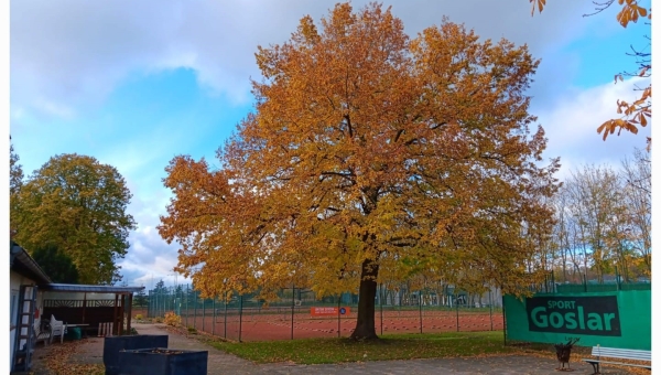 Herbst auf der Tennisanlage